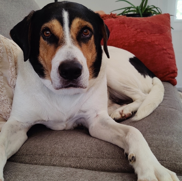 Meet your Posher, Kelsey - Picture 1 of 1